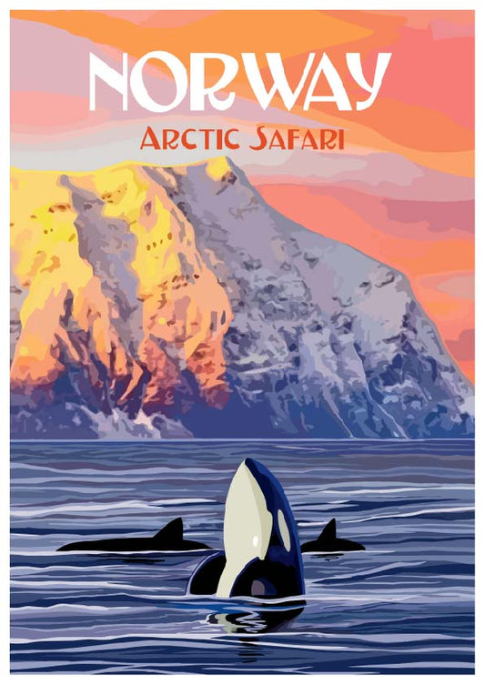 Arctic safari Orca