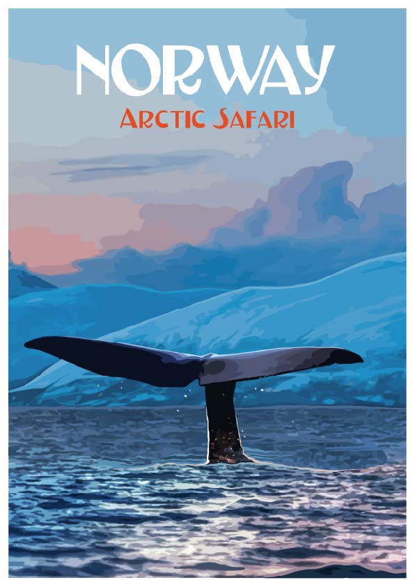 Arctic safari Sperm Whale