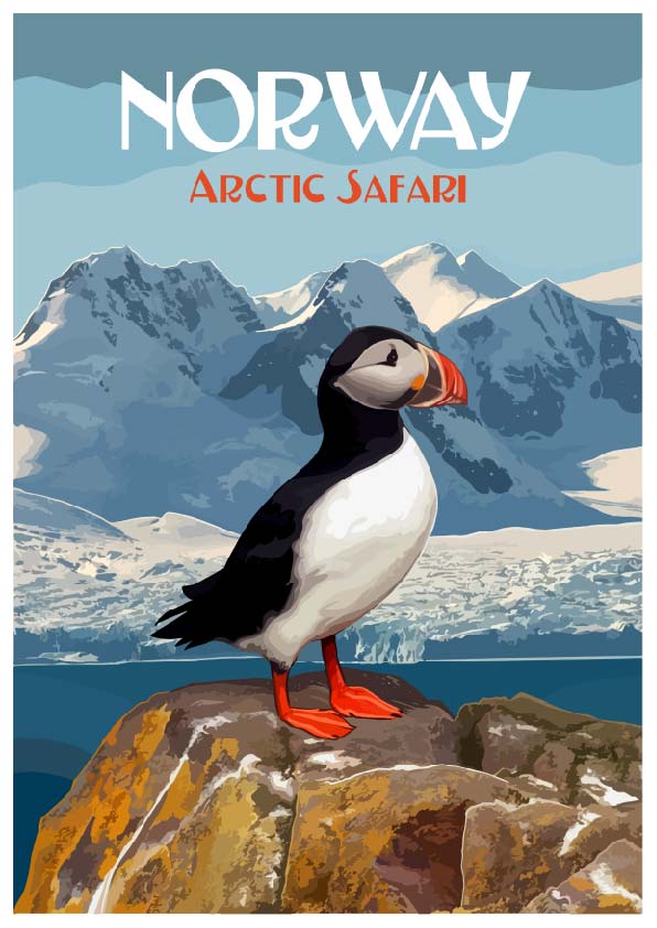 Arctic safari Puffin